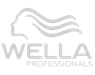 Wella Professionals